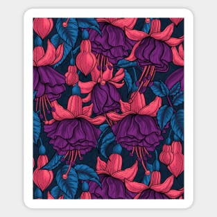 Fuchsia on dark blue Sticker